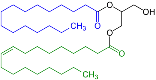 Diglyceride, in this example with a saturated fatty acid residue (highlighted blue) and a unsaturated fatty acid residue (highlighted  (green).