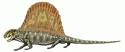 Dimetrodon milleri
