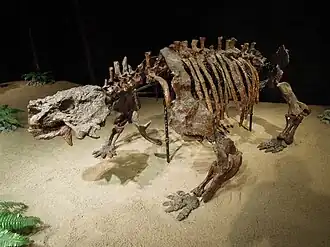 Скутозавр, вид Scutosaurus karpinskii