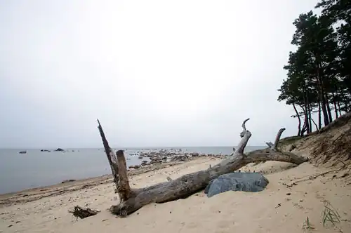 Пляж в Дирхами