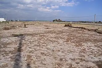 Вид бывшего рисового поля после цунами