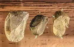 Инструменты для рубки, пещера Аназага, гора Беюкдаш, музей Гобустана