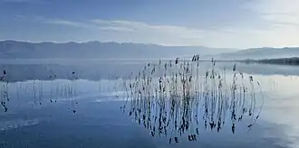 Дойранское озеро весной 2015 года