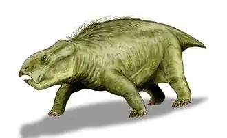 Dolichuranus primaevus