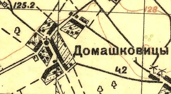 План деревни Домашковицы. 1930 год