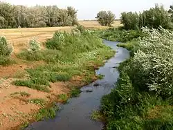 Донгуз у села Нижняя Павловка