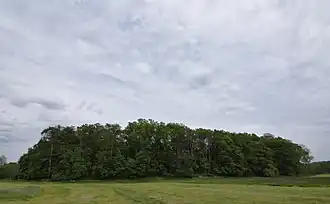 Вид на городище с запада