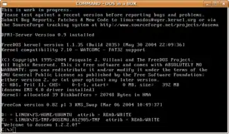 Скриншот программы DOSEMU