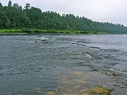 Доломитовые пороги на Западной Двине, возле Рубы