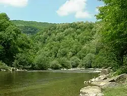 Нижнее течение реки Дзирула около села Кведа-Цева в мае 2009 года