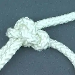 Stevige hand[нидерл.]