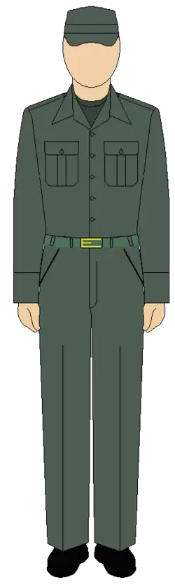 Полевая форма одежды сухопутных войск