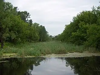 Канал в Солнечногорске