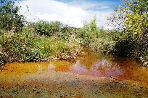 Горячий источник