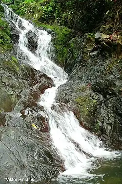 Сальто-дель-Сапо