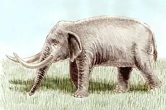 Реконструкция