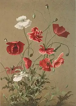 Poppies