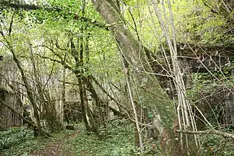 Вход в шахту