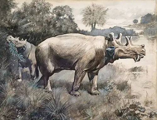 Эобазилевс