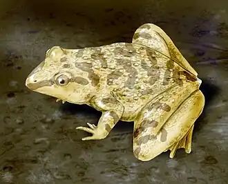 Реконструкция