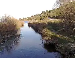 Эрасинос около Вравроны