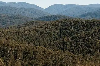 Национальный парк Эрринундра