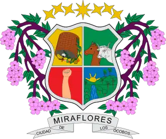 Герб города и муниципалитета Мирафлорес (Колумбия)