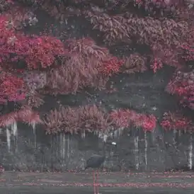 Обложка альбома Sleep Token «Even in Arcadia» (2025)