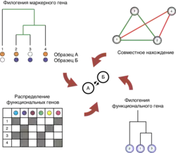 Микробиом2 июня 2020
