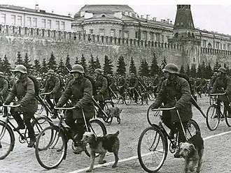 Военные собаководы на велосипедах на параде 1 мая 1938 года