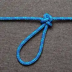 Фермерская петля[англ.]:183, Farmer's loop, Wireman's knot.Простая петля, используемая на фермах. Хорош во всём: прочность, износостойкость, скользкоустойчивость.