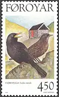 FR 324: чёрный дрозд (Turdus merula)