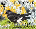 FO 525: прямохвостая качурка (Hydrobates pelagicus)