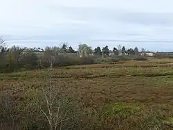 Вид на Федорково с автодороги  Старая Русса—Парфино