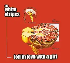 Обложка сингла The White Stripes «Fell in Love with a Girl» (2002)