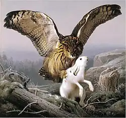 Филин, напавший на зайца