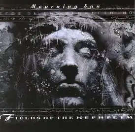 Обложка альбома Fields of the Nephilim «Mourning Sun» (2005)