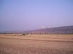 Пшеничные поля на восточной стороне Раззакова