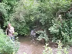 Устье ручья.