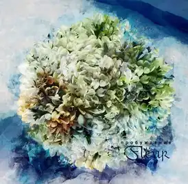 Обложка альбома Flëur «Пробуждение» (2012)