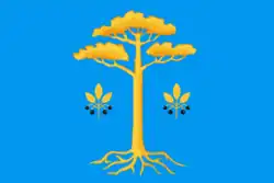 Флаг муниципального образования «Муравьёвское»