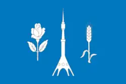 Флаг (описание)