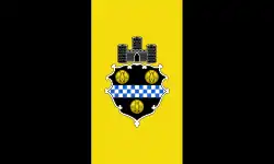 флаг Питтсбурга