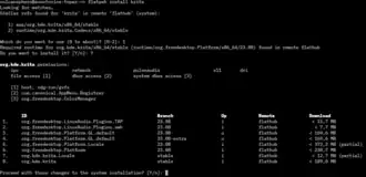 Скриншот программы Flatpak