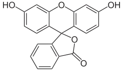 Флуоресцеин