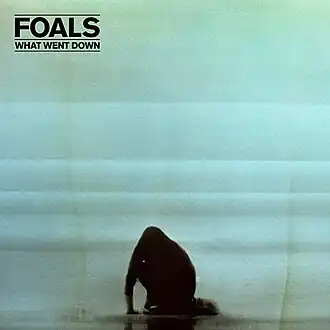 Обложка альбома Foals «What Went Down» (2015)