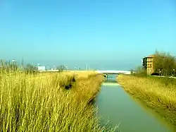 Река Марано около устья