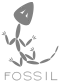 Логотип программы Fossil