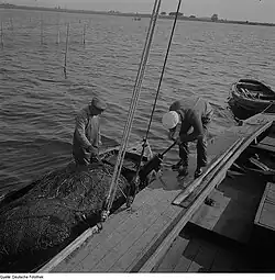 Рыбаки, Зурендорф, 1962 год