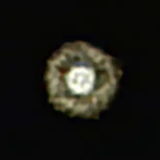 Изображение туманности вокруг жёлтого гипергиганта IRAS 17163-3907, полученное на Very Large Telescope